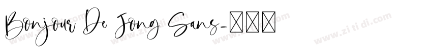 Bonjour De Jong Sans字体转换